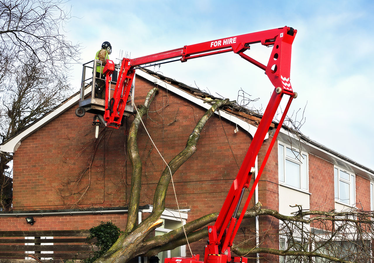 Roof Repairs Norwich